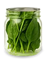 Spinach