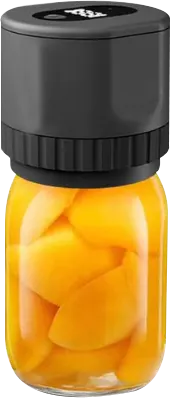 Other Mason Jar Vacuum Sealers